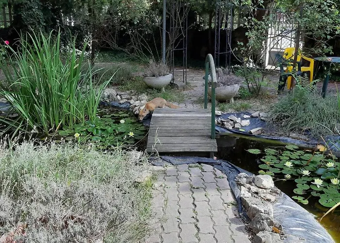 Matula Vendeghaz Guest house